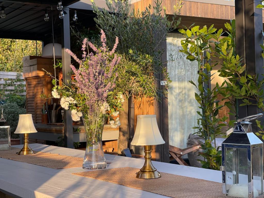 Dragonfly Glamping Spa Retreat Ashford  Exterior photo